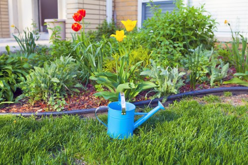 Gardener pruning plants in a Thornton Heath garden